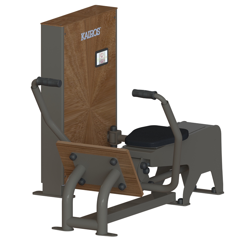 坐式划船拉力训练器 SEATED ROW