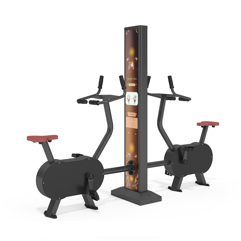 2.upright bike copy.jpg